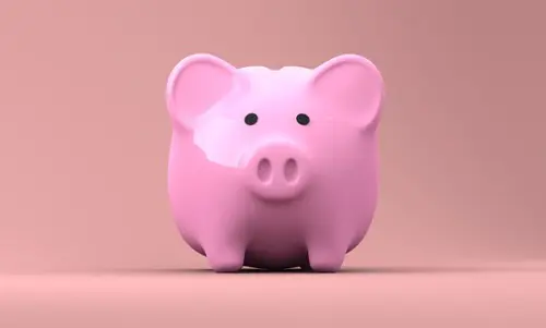 Budget-Movers--in-Longmire-Washington-budget-movers-longmire-washington.jpg-image